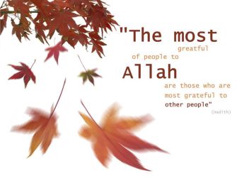 The Most Grateful