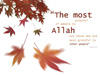 The Most Grateful