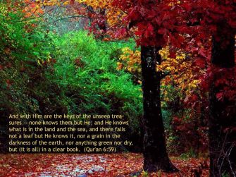 Not a Leaf but He Knows