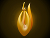 Light of Allah